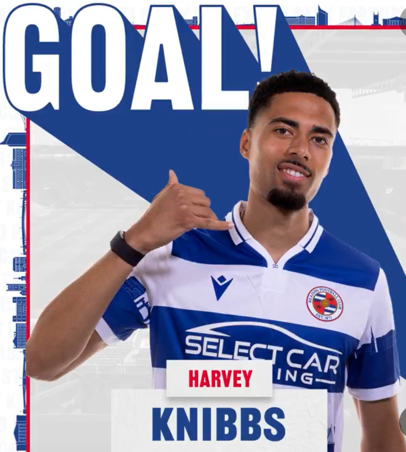 Harvey Knibbs